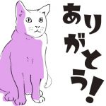 白猫コトンちゃん