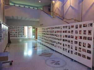 大佛次郎×ねこ写真展2020の展示風景